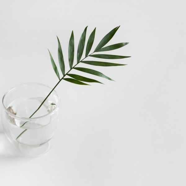 agigma holistic spa